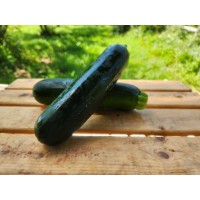 Courgette