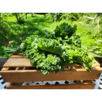 Chou kale