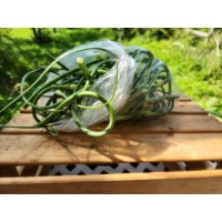 Fleur d'ail en sac