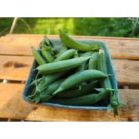 Pois mange-tout